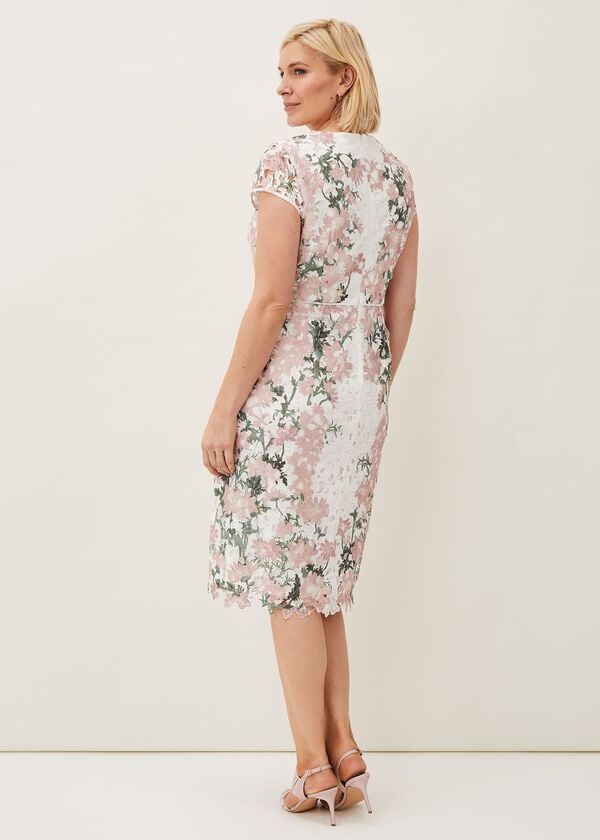 Phase Eight Kyra Lace Fitted Dress