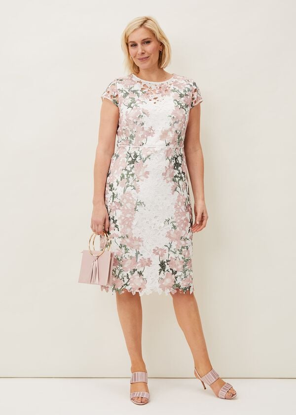 Phase Eight Kyra Lace Fitted Dress
