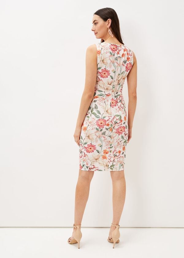 Phase Eight Larna Blush Jackie Dress