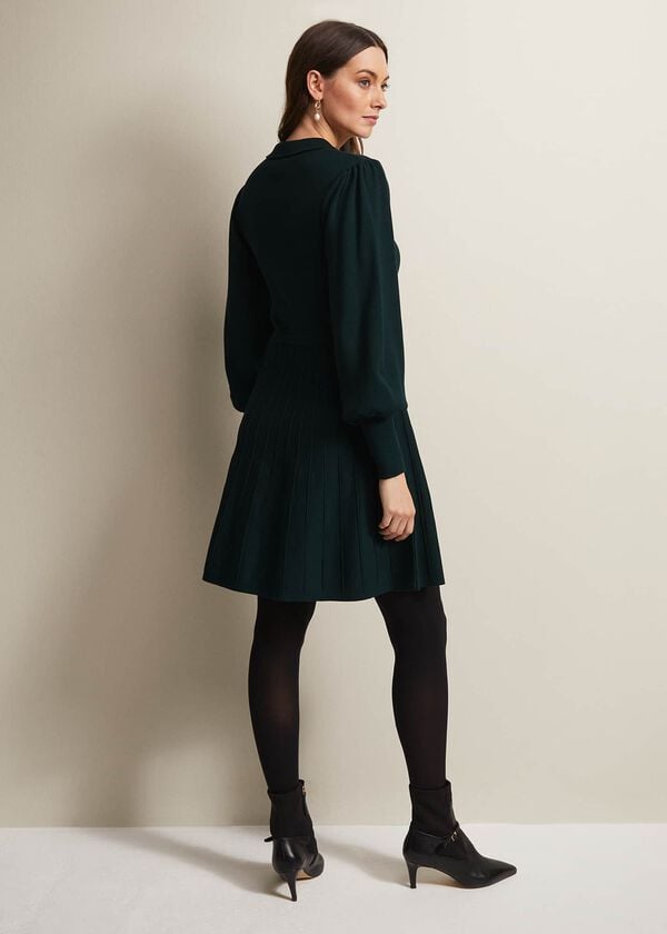 Phase Eight Lecia Fit And Flare Mini Dress