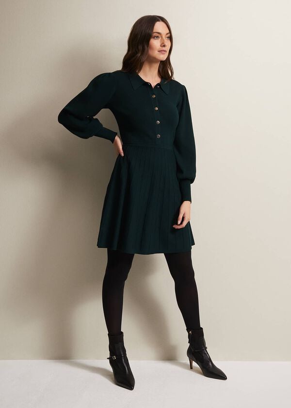 Phase Eight Lecia Fit And Flare Mini Dress