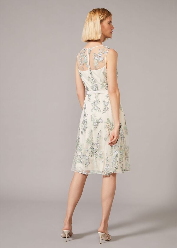 Phase Eight Lia Embroidered Fit And Flare Dress