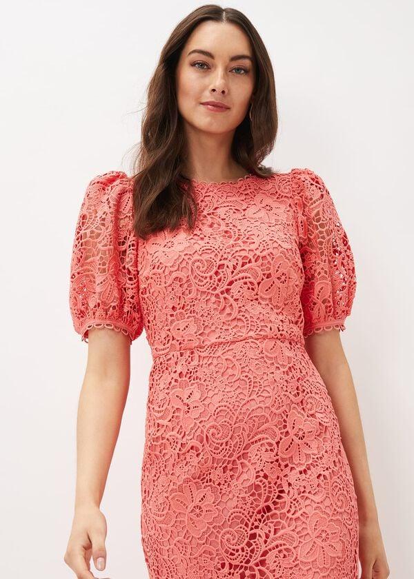 Phase Eight Lidia Guipure Lace Fishtail Dress