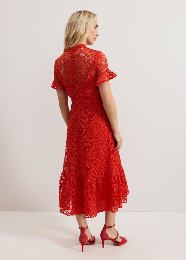 Phase Eight Lula Lace Dress
