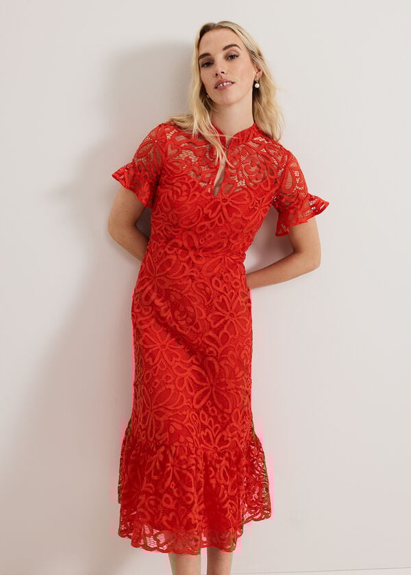 Phase Eight Lula Lace Dress