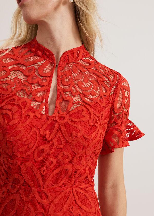 Phase Eight Lula Lace Dress