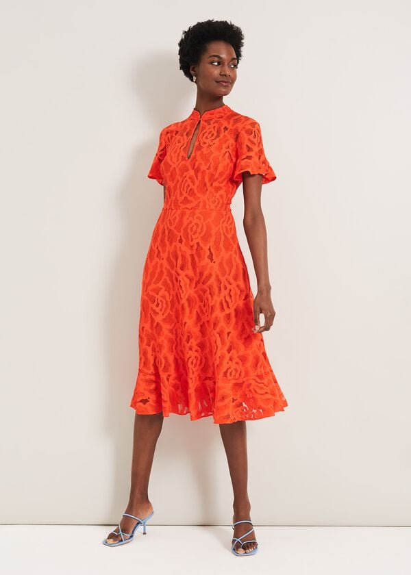 Phase Eight Lulu Floral Lace Dress