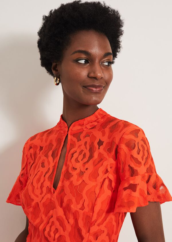 Phase Eight Lulu Floral Lace Dress