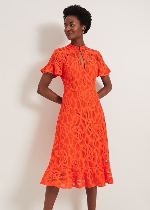 phase eight Lulu Floral Lace Dress