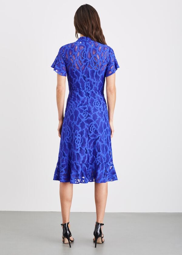 Phase Eight Lulu Floral Lace Dress