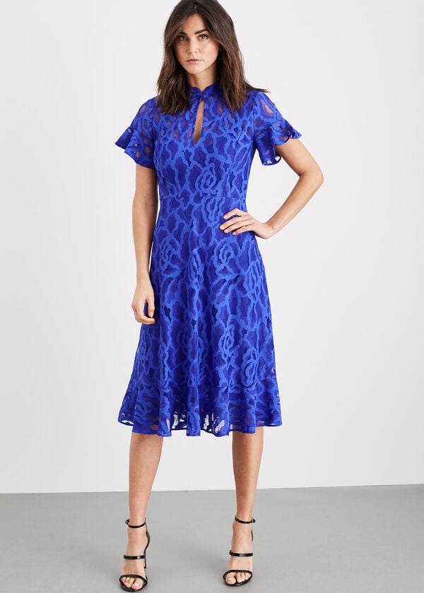 Phase Eight Lulu Floral Lace Dress