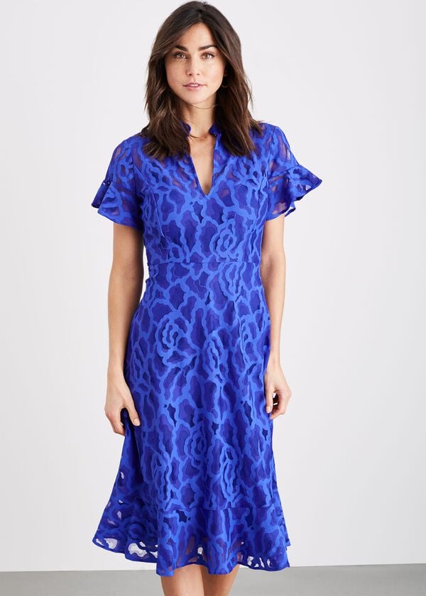 phase eight Lulu Floral Lace Dress