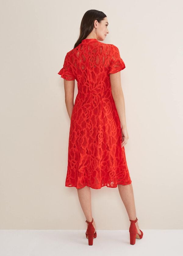 Phase Eight Lulu Lace Midi Dress