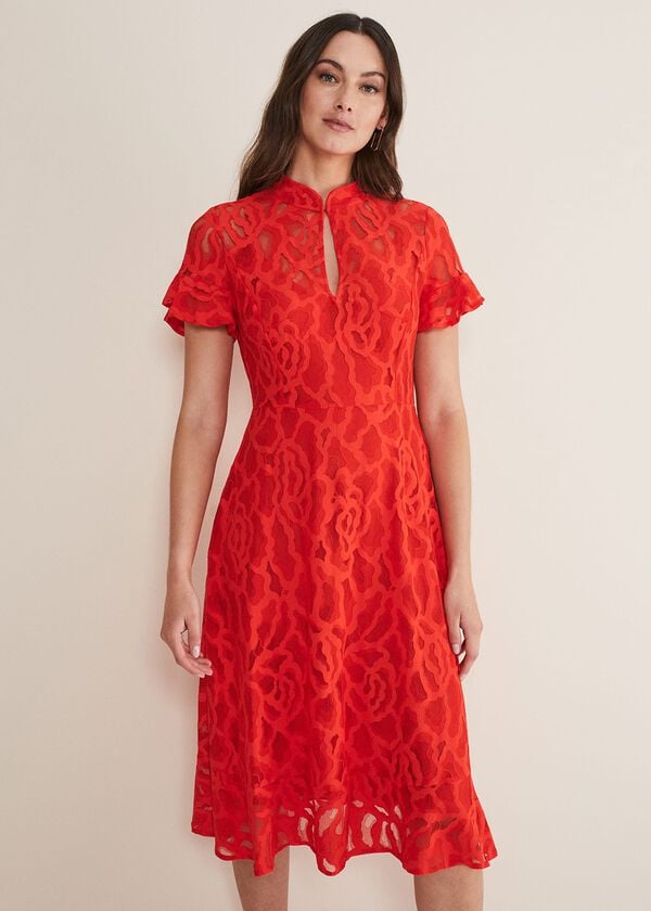 Phase Eight Lulu Lace Midi Dress