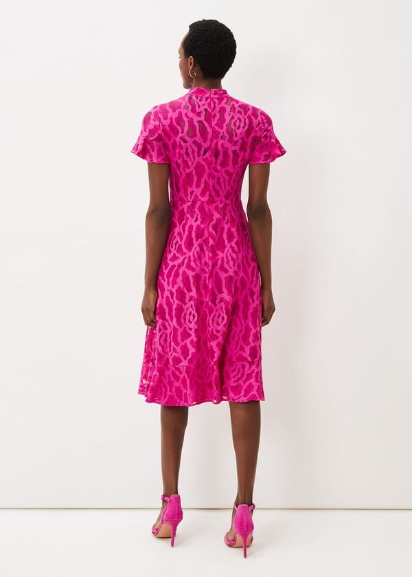 Phase Eight Lulu Lace Midi Dress