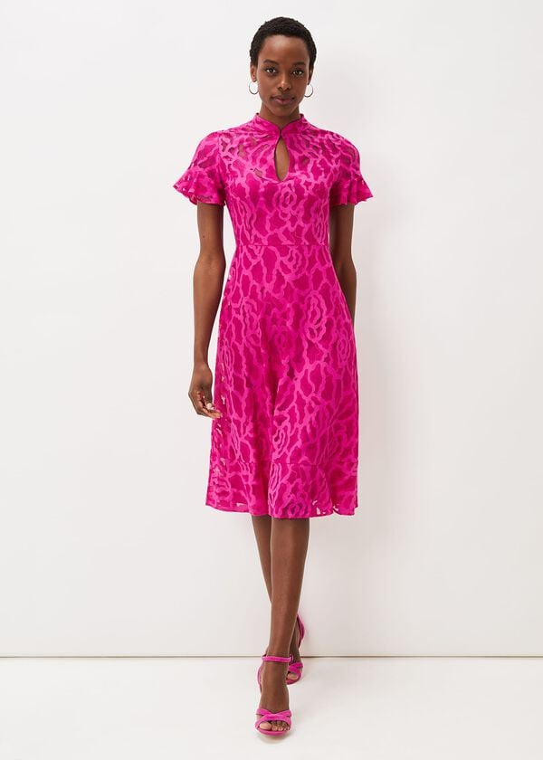 Phase Eight Lulu Lace Midi Dress