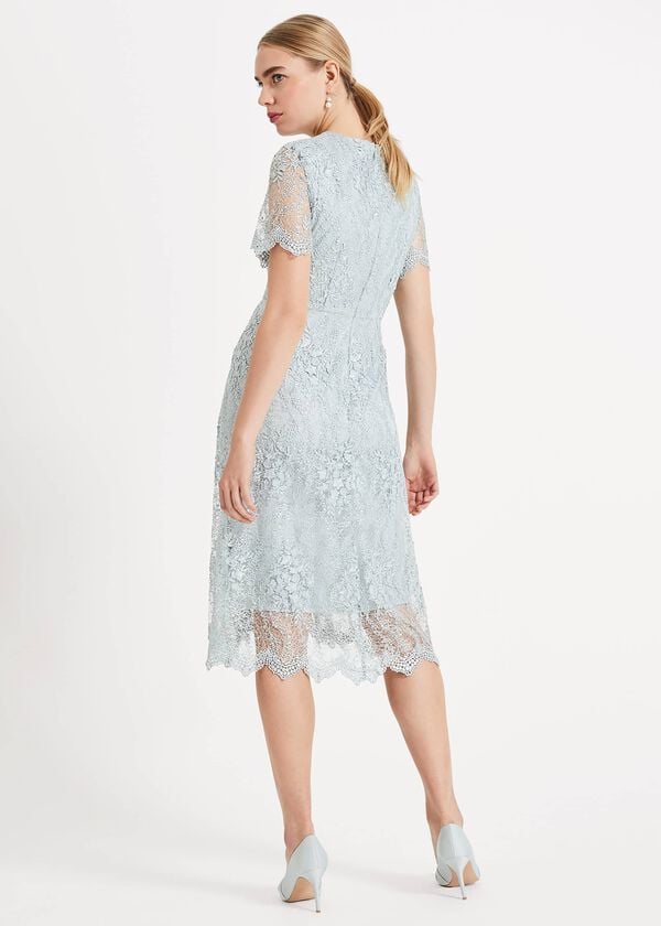 Phase Eight Malia Sequin Lace Dress