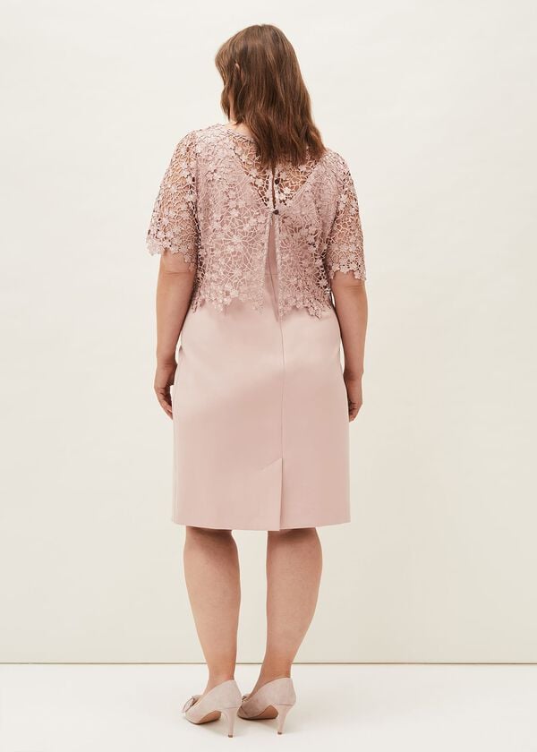 Phase Eight Mariposa Lace Dress