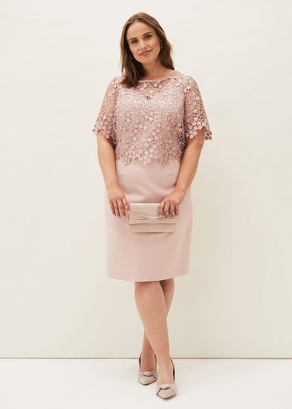 Phase Eight Mariposa Lace Dress
