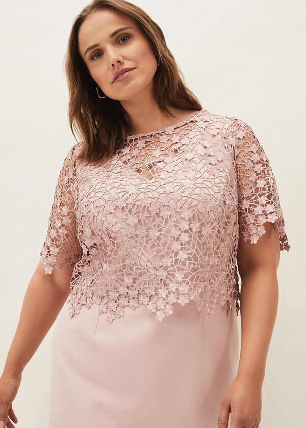 Phase Eight Mariposa Lace Dress