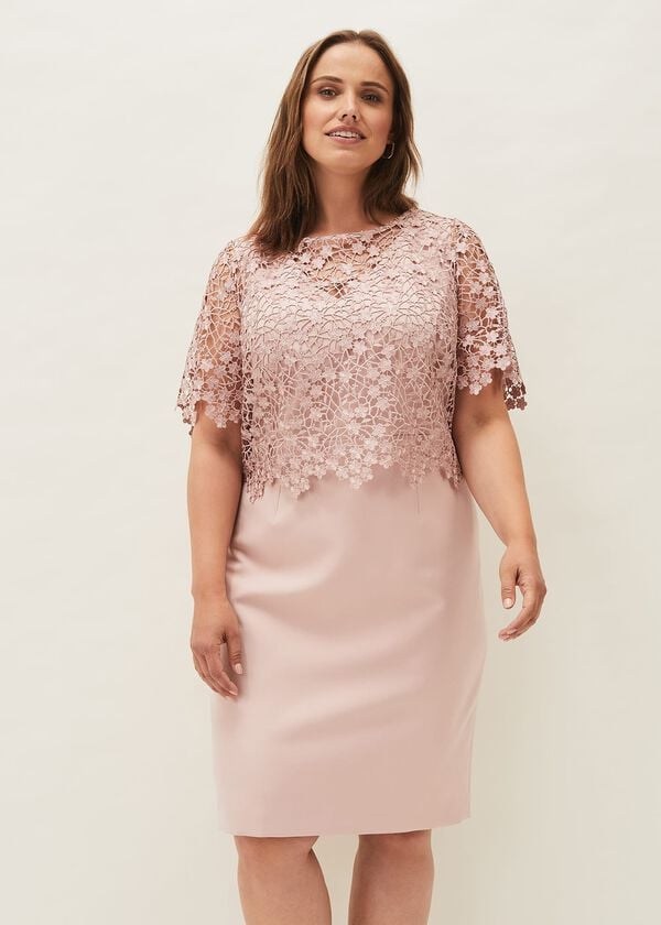 phase eight Mariposa Lace Dress