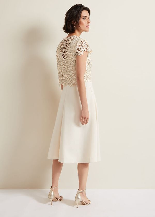 Phase Eight Maxine Lace Fit And Flare Dress