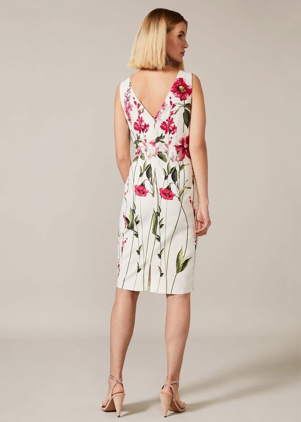 Phase Eight May Stem Rose Dress