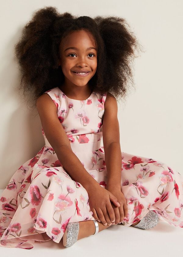 Phase Eight Mirabel Floral Fit And Flare Dress