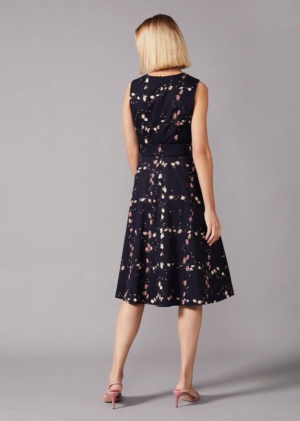 Phase Eight Nala Floral Fit And Flare Dress
