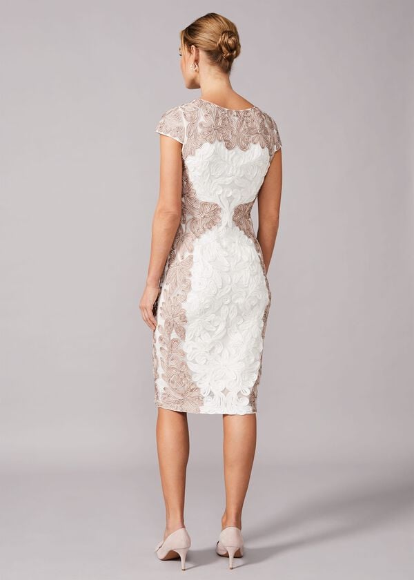Phase Eight Nori Tapework Lace Fitted Dress