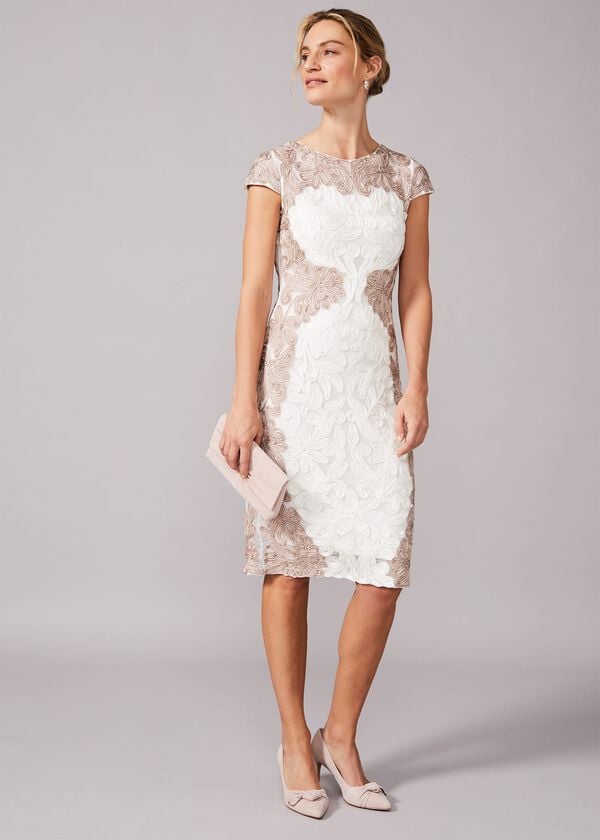 Phase Eight Nori Tapework Lace Fitted Dress