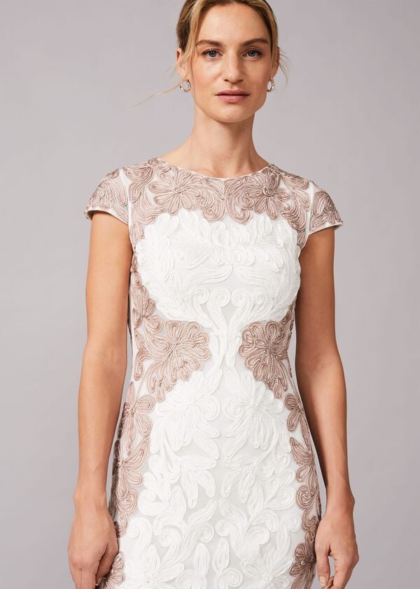 Phase Eight Nori Tapework Lace Fitted Dress