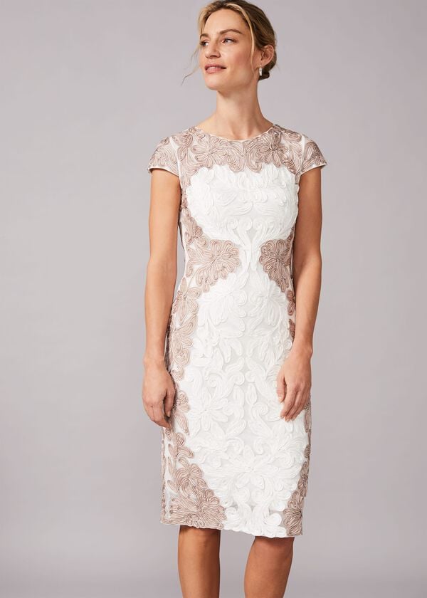 phase eight Nori Tapework Lace Fitted Dress
