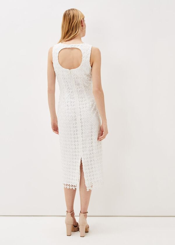 Phase Eight Novah Lace Midi Dress