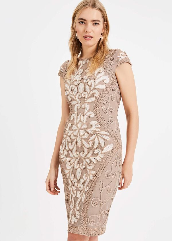 phase eight Perdy Tapework Lace Dress