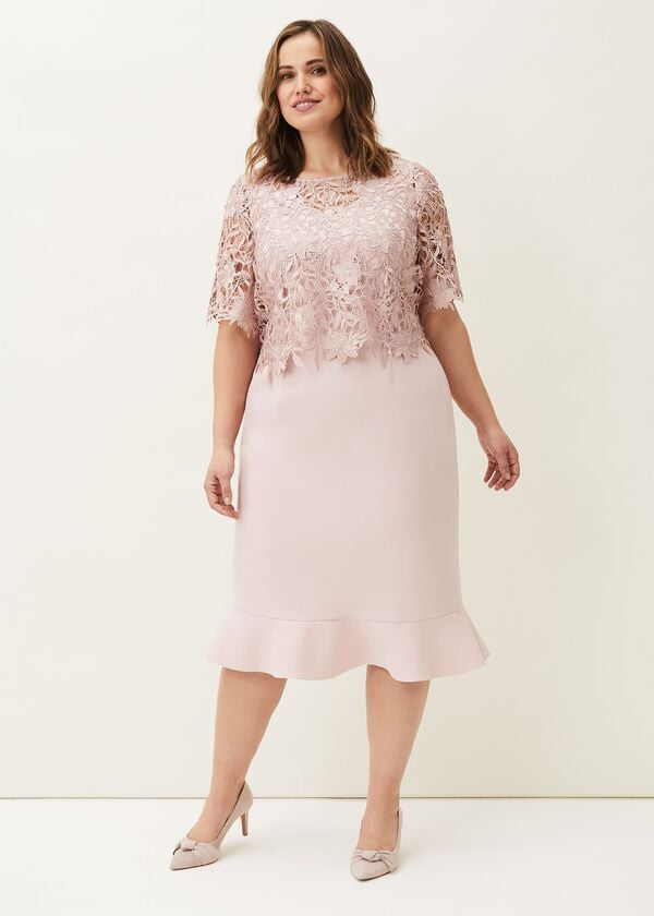 Phase Eight Perla Lace Dress