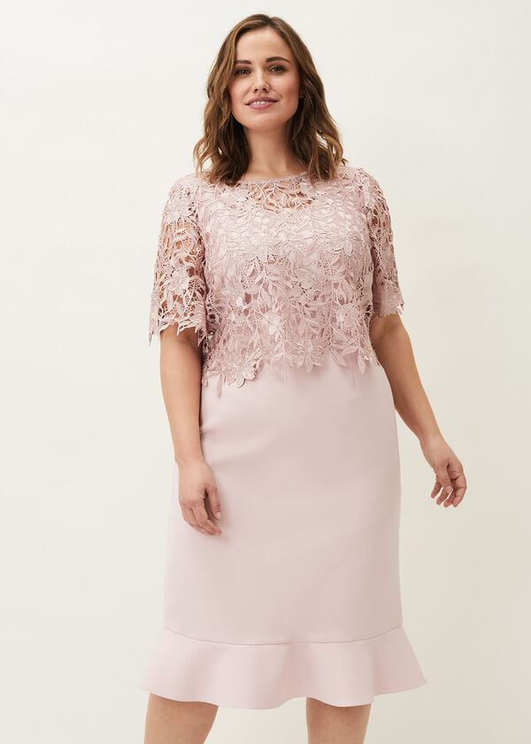 phase eight Perla Lace Dress
