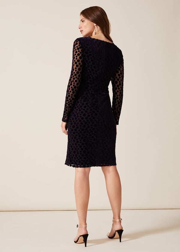 Phase Eight Perrie Spot Velvet Burnout Dress