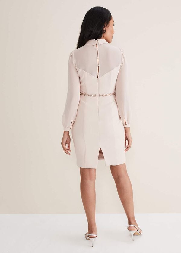 Phase Eight Petite Avah Embellished Bodycon Dress