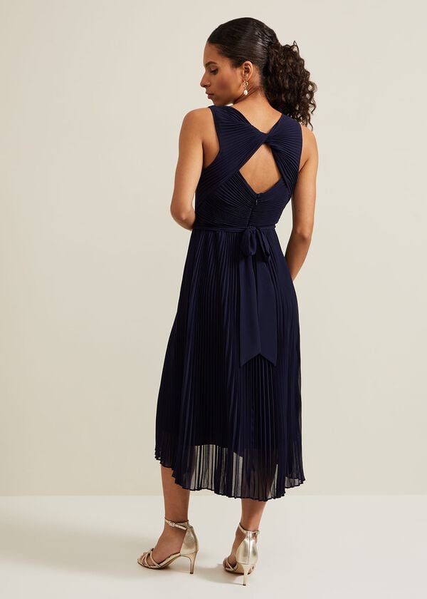 Phase Eight Petite Cressida Pleat Maxi Dress
