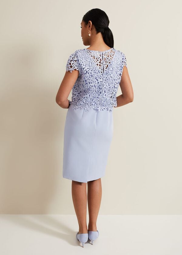 Phase Eight Petite Daisy Lace Double Layer Dress