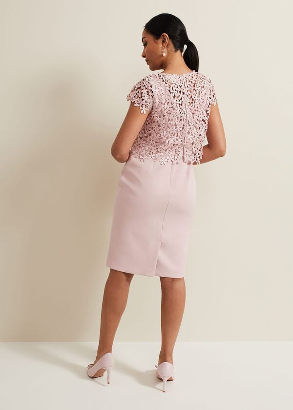 Phase Eight Petite Daisy Lace Midi Dress