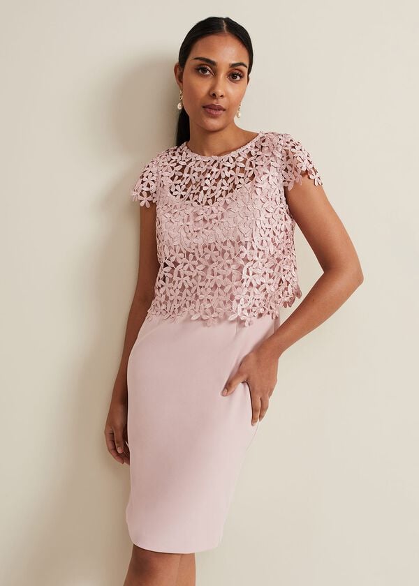 phase eight Petite Daisy Lace Midi Dress