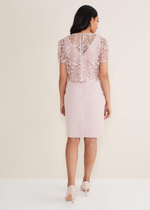 Phase Eight Petite Isabella Lace Midi Dress