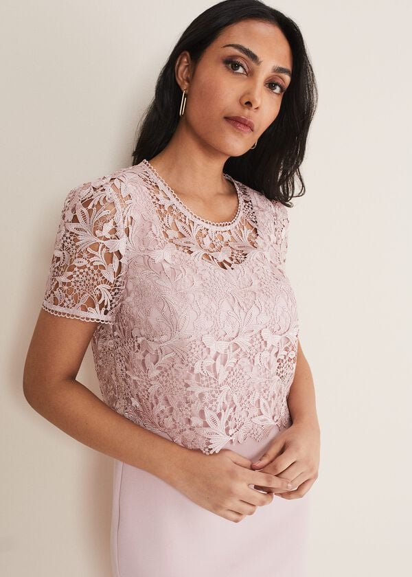 Phase Eight Petite Isabella Lace Midi Dress