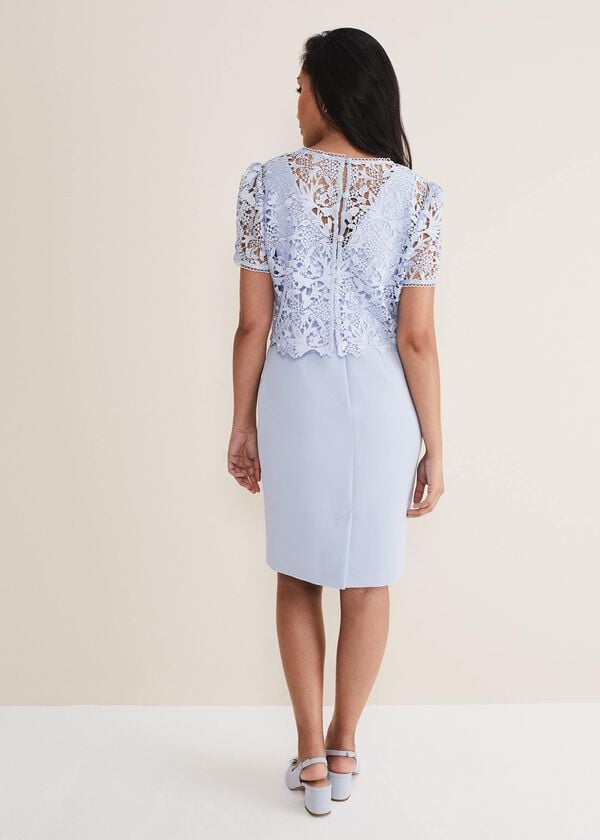 Phase Eight Petite Isabella Lace Midi Dress