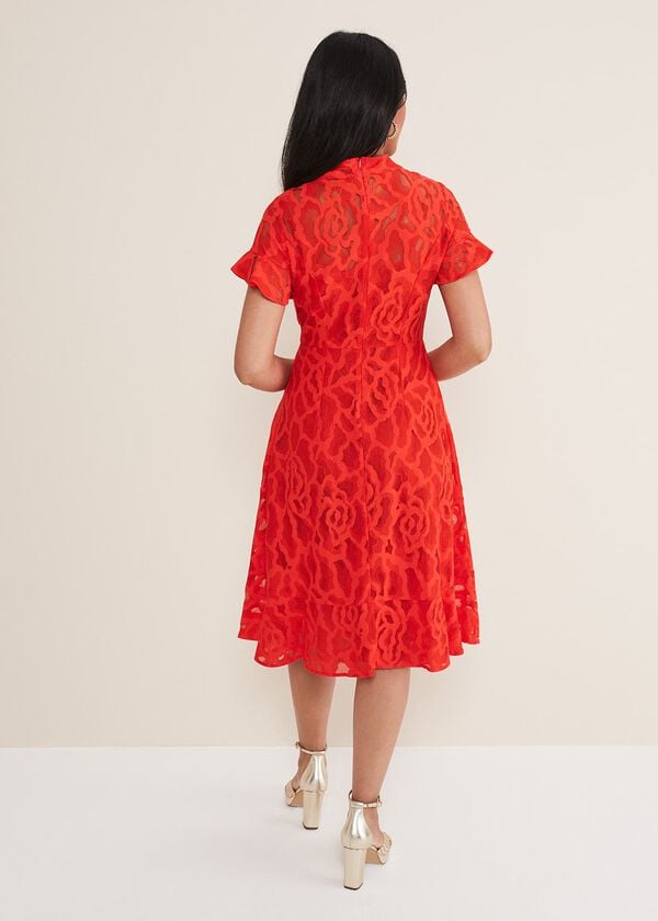 Phase Eight Petite Lulu Lace Midi Dress