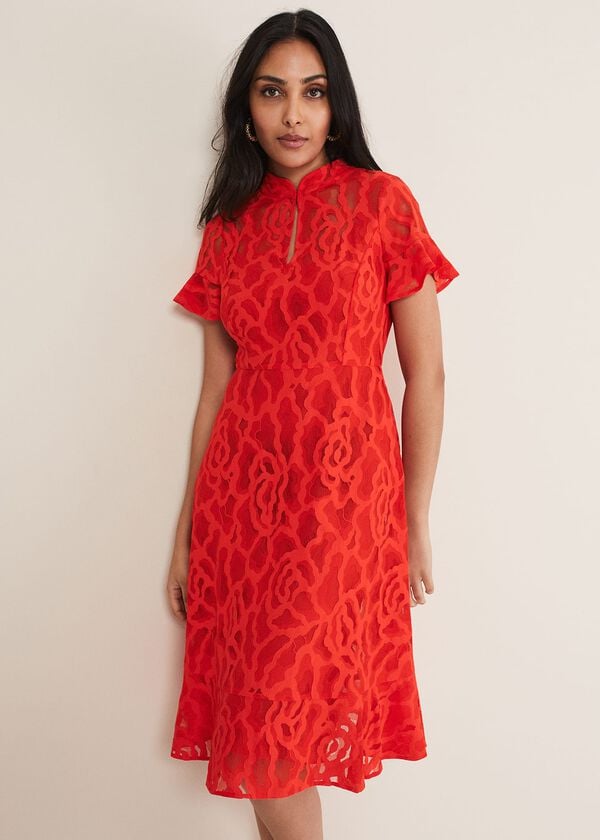 Phase Eight Petite Lulu Lace Midi Dress