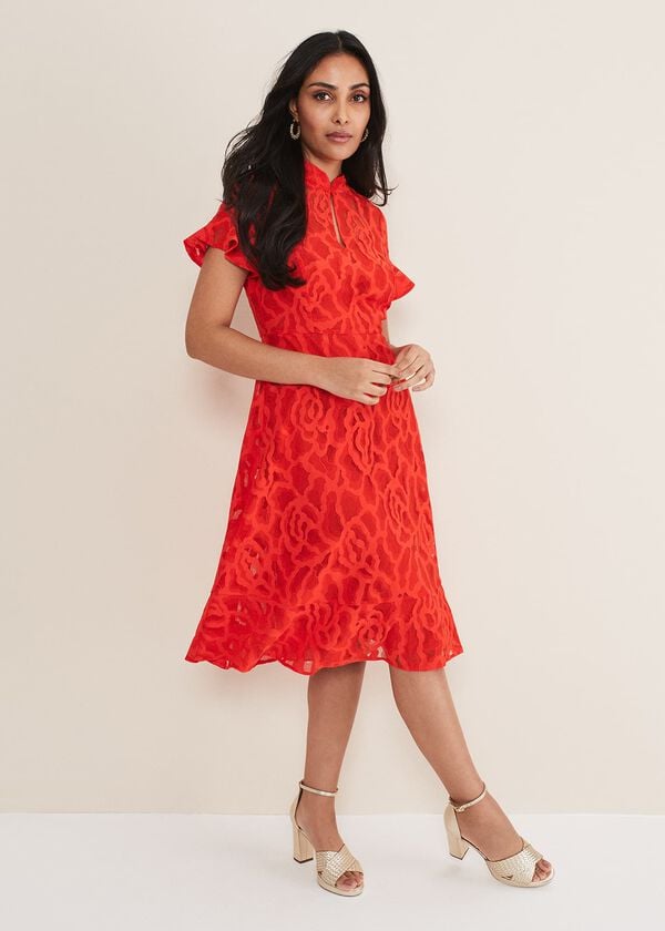 phase eight Petite Lulu Lace Midi Dress