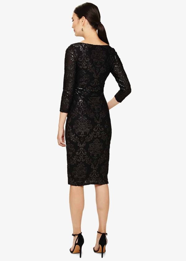 Phase Eight Petra Burnout Dress